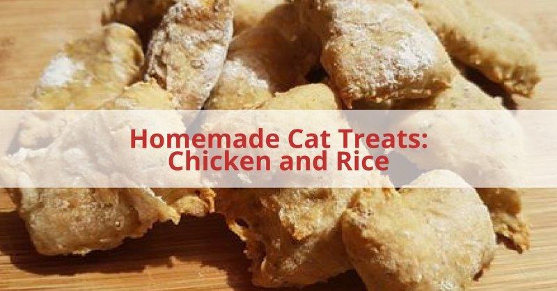 Homemade Cat Treats: Chicken And Rice Cat Treats This is a bit of an unusual one as it includes baby food.