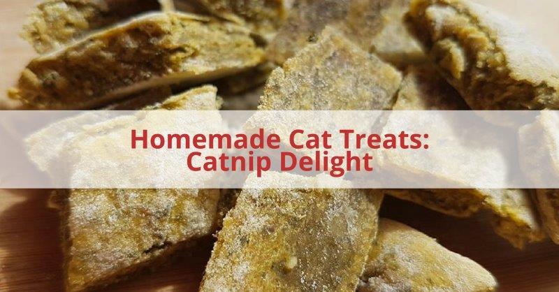 Homemade Catnip Cat Treats: Catnip Delight When it comes to catnip cats either love it or hate it. Some cats go crazy for it and others might not even notice it at all.