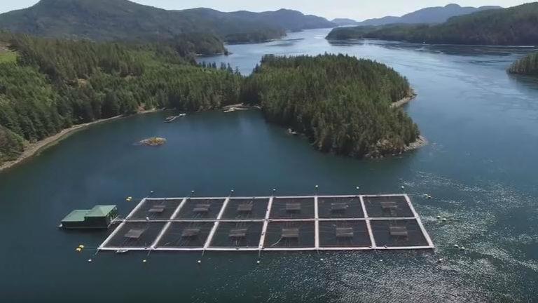 The List of Foreign Fisheries (LOFF) Salmon more than 22 nations, largely aquaculture, some gillnet and trawl, intentional killing at aquaculture facilities a problem Canada, Chile,