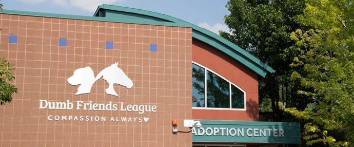 As the largest community-based animal welfare organization in the region, the Dumb Friends League cares for more than 20,000 homeless pets and horses each year at its four facilities and is a