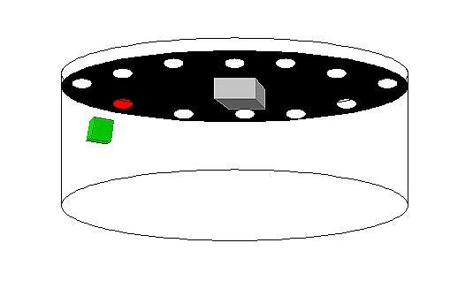 Figure 2.3: Experimental test arena (150 cm) for learning studies.
