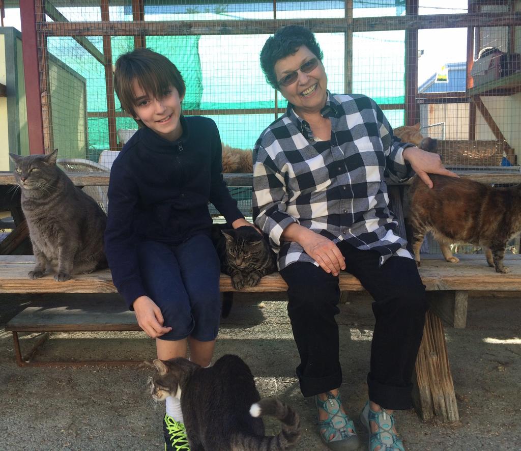 WE CARE NEWS SPRING 2015 EDITION - We Care Animal Rescue Serving Napa Valley For 33 Years It s fun to see like 40 cats all chasing after you and trying to be on your lap and get petted.