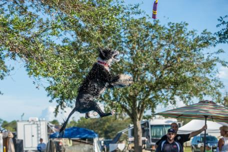 (October) 6th Q for RATCHX K9 Obedience Club of Jacksonville