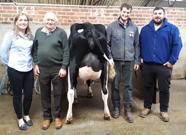 Auctioneer s Report (Will Alexander):- William Oldfield took charge of the judging, placing Aubrey and Oliver Greenhalgh s heifer as his first place, Robin Jennings