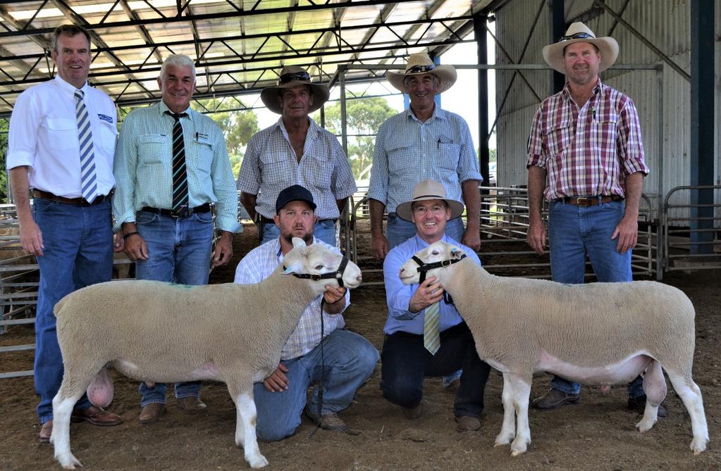 au Jai Moar 0409 582 390 Poll Merino Flock 60 1279 White Suffolk Flock 23 0753 23rd On Property Sale Thursday 8th February 2018 at Petali Woolshed, Walcha NSW Inspection from 9am 70 White Suffolk