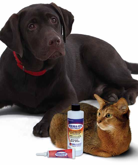 C O M P A N I O N A N I M A L S antibiotic Derma-Vet Ointment 4Combining four active ingredients to treat: Through its four active ingredients, Derma-Vet Ointment provides four basic therapeutic