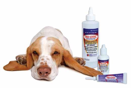 C O M P A N I O N A N I M A L S antibiotic Antibacterial, anti-inflammatory and antifungal combine to combat canine ear infections.