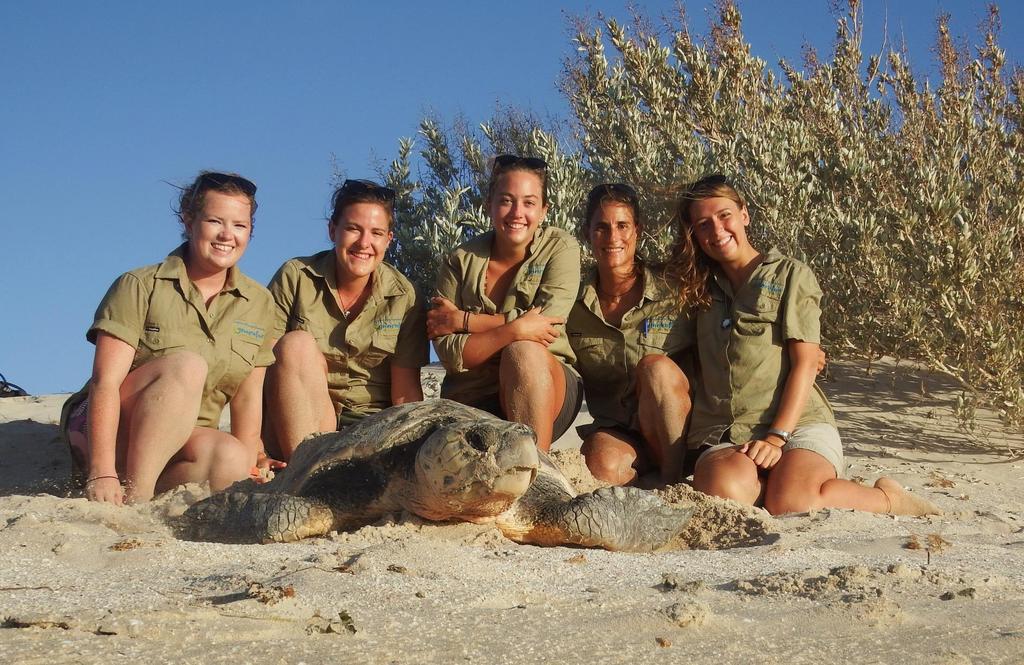 Gnaraloo Turtle Conservation Program Gnaraloo Bay Rookery Gnaraloo Cape Farquhar