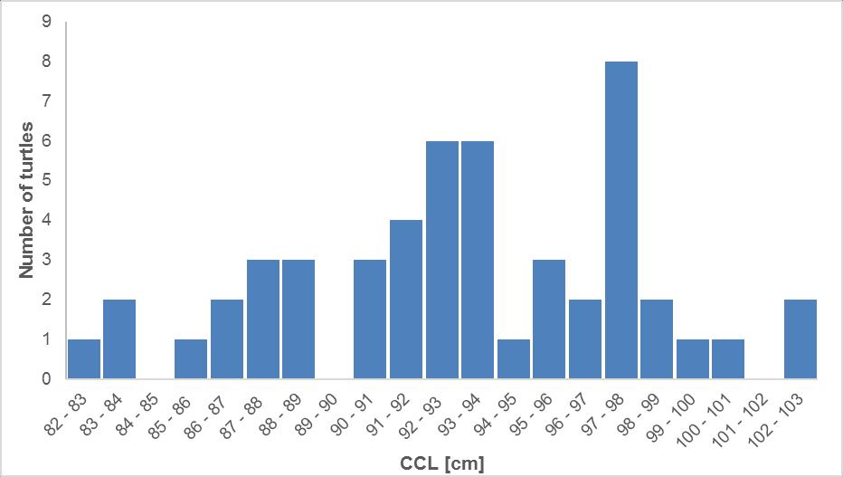 Figure 32: Distribution of loggerhead CCL in GBR Survey Area during Night