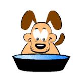 lot of water spillage from dog water bowls, so