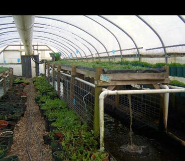 Before you set up your aquaponic system, it s important that you recognize the options available to you.