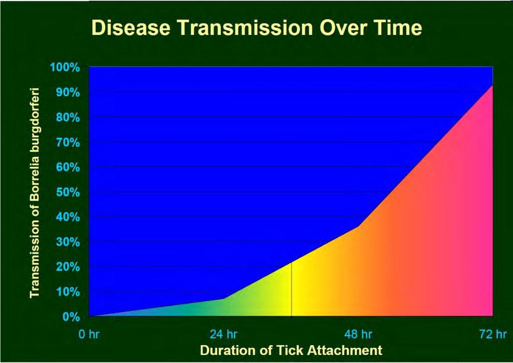 An important question How long must an infected deer tick be attached for transmission of infection?