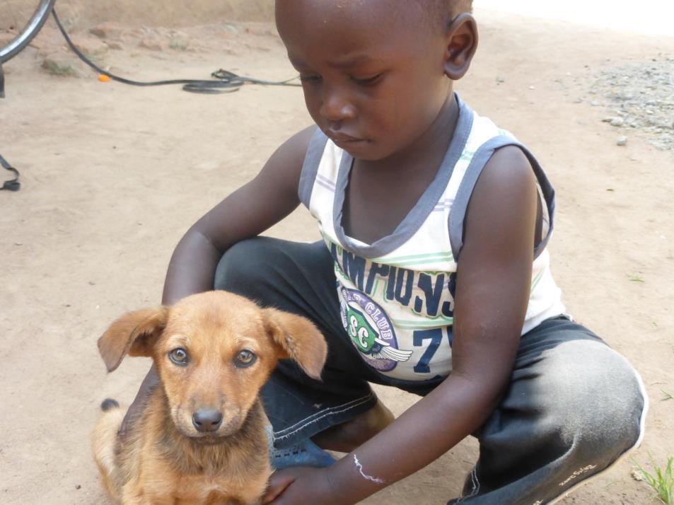 The BIG FIX operates the ONLY veterinary hospital in Northern Uganda, a region home to more than 2 million people and tens of thousands of dogs.