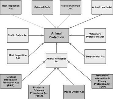 Animal protection: Protecting animals from people FEDERAL Frequent legislative interactions Compliance and enforcement activities undertaken when animals are reported as in distress, lacking care or