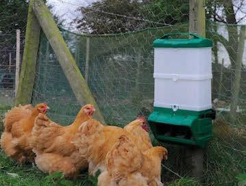 the capacity from the basic 10KG Mountable feeder right up to 20KG