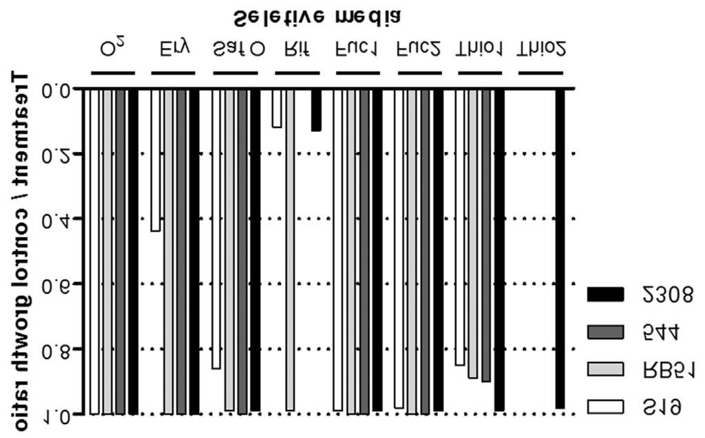 Resistance patterns of B. abortus 267 Figure 1 - Growth patterns of B. abortus strains S19, RB51, 544 and 2308 on different selective media or atmospheric condition.