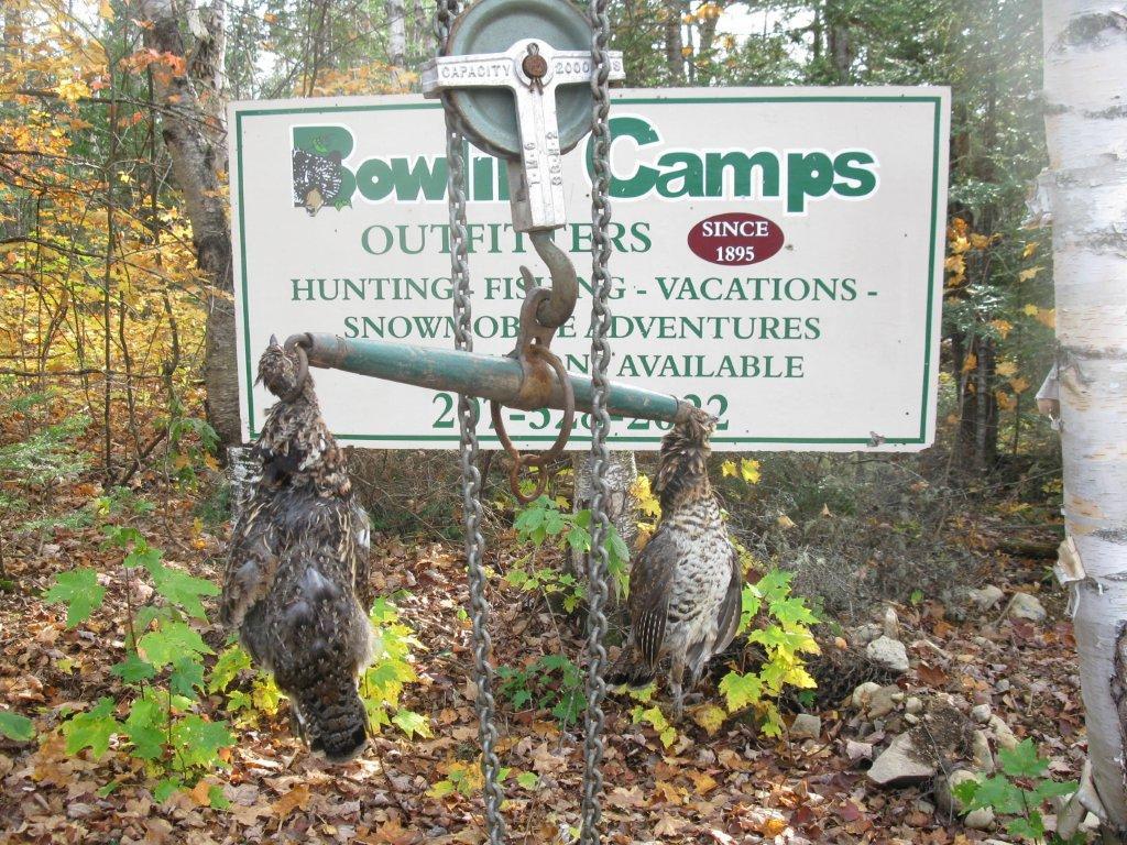 Some of the more famous Maine Sporting Camps never replied to my requests for information. I settled on Bowlin Camps 38 miles northwest of Patten, Maine.