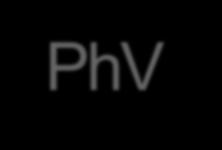 MAH: Where does PhV information go?