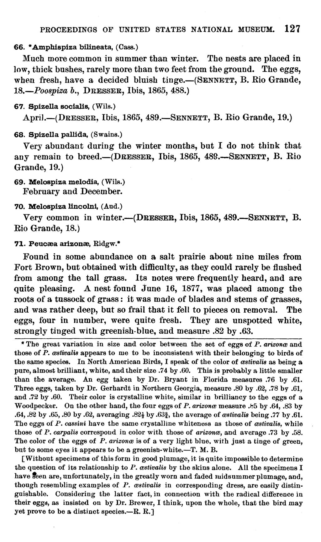 PROCEEDINGS OF UNITED STATES NATIONAL MUSEUM. 127 66. * Amphispiza bilineata, (Cass.) Much more common in summer than winter.