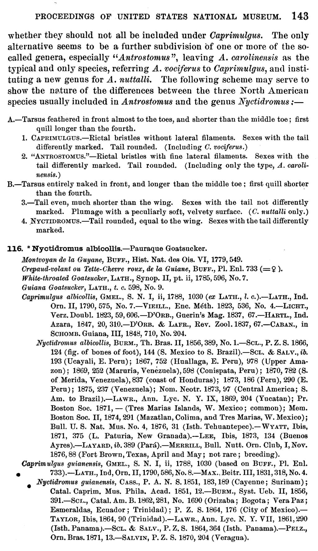 PROCEEDINGS OF UNITED STATES NATIONAL MUSEUM. 143 whether they should not all be included under Oaprimulgus.