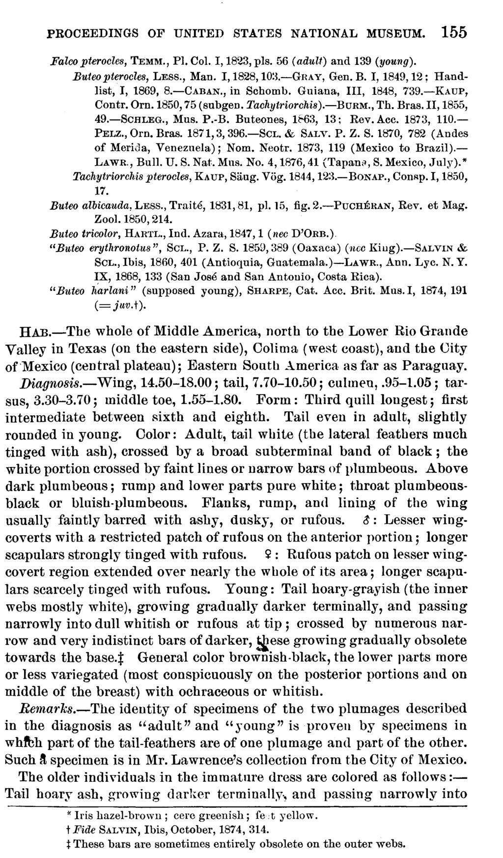 PROCEEDINGS OF UNITED STATES NATIONAL MUSEUM. 155 Falco pteroeles, TEMM., PI. Col. 1,1823, pis. 56 (adult) and 139 (young). Buteo pteroeles, LESS., Man. I, 1828, 10:~.-GRAY, Gen. B. I, 1849,12; Handlist, I, 1869, S.