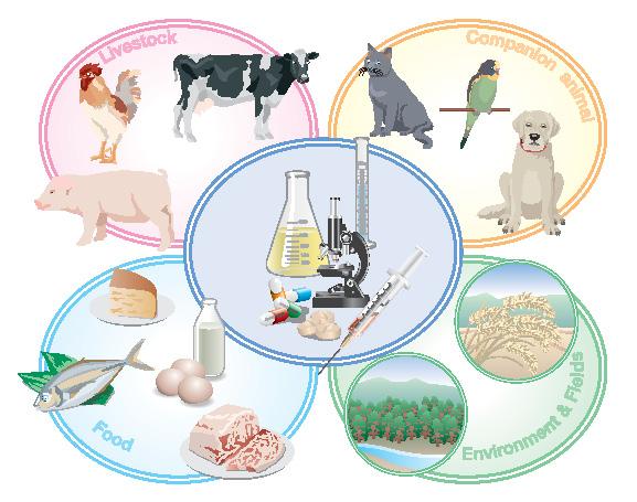 A Report on the Japanese Veterinary Antimicrobial Resistance Monitoring System -2000 to