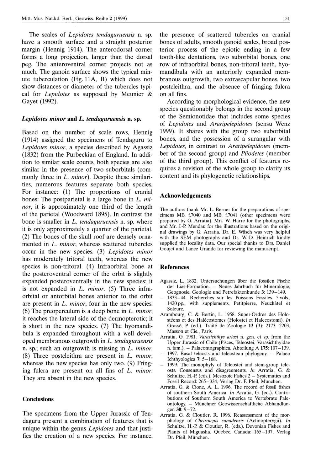 Mitt Mus Nat kd Berl, Geowiss Reihe 2 (1999) The scales of Lepidotes tendaguruensis n sp have a smooth surface and a straight posterior margin (Hennig 1914) The anterodorsal corner forms a long