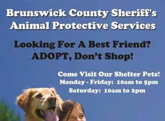 It s been over a month since we came to Onslow County Animal Services!