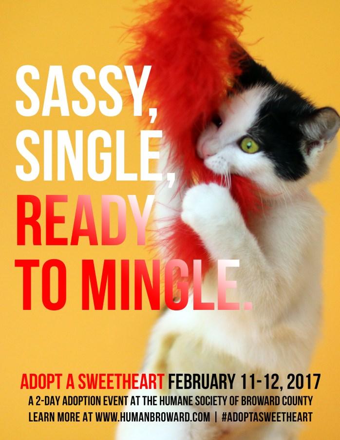 Whoever said you can t buy love has not been to the Humane Society of Broward County. You can find the guy or gal of your dreams at the Adopt a Sweetheart event on February 11-12.