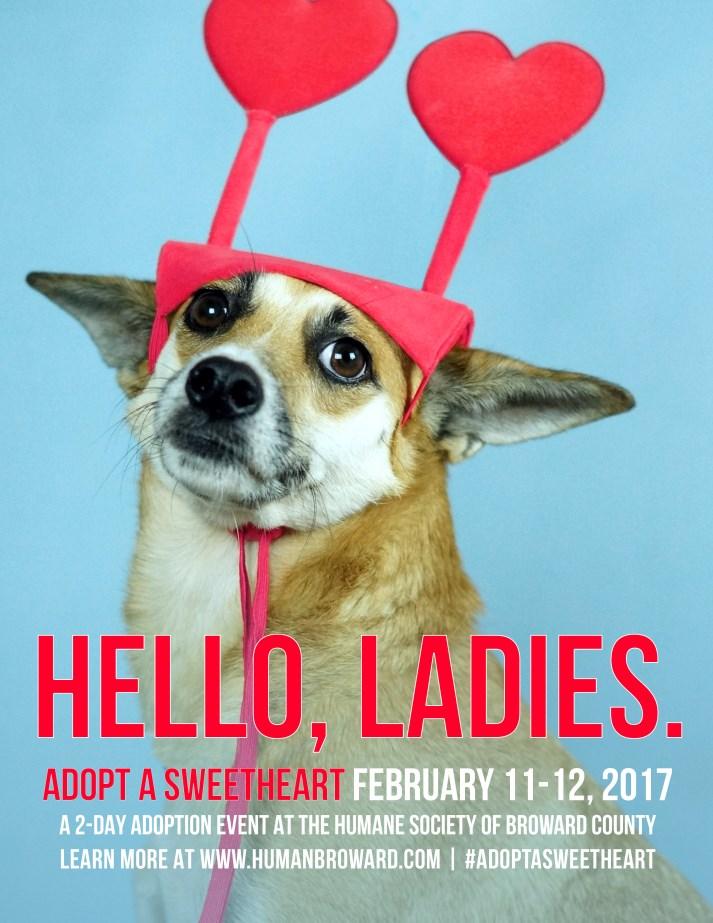 Adopt any pet six months of age or older and Cupid has arranged for the adoption fee to be half price.