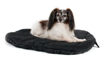 Dog Blanket Multi-purpose blanket is convenient to take anywhere!