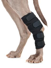 ankles following an operation and for dogs with arthritis or injuries to the tendons/ligaments An opening on the hock provides flexibility and mobility to the brace