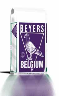 BEYERS Moulting Galaxy Carbohydrates 51,8 % Crude protein 15,2 % Crude fat 8,6 % Crude fibre 6,6 % Crude ash 2,4 % Ideal balance of nutrients with sufficient crude fibres so that the pigeons do not