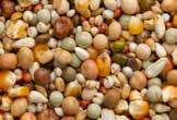 Carbohydrates 55,1 % Crude protein 17,1 % Crude fat 5,7 % Ingredients: small cribbs maize, toasted soya, white wheat, white dari, extra red sorghum, small green peas, small yellow peas, safflower,