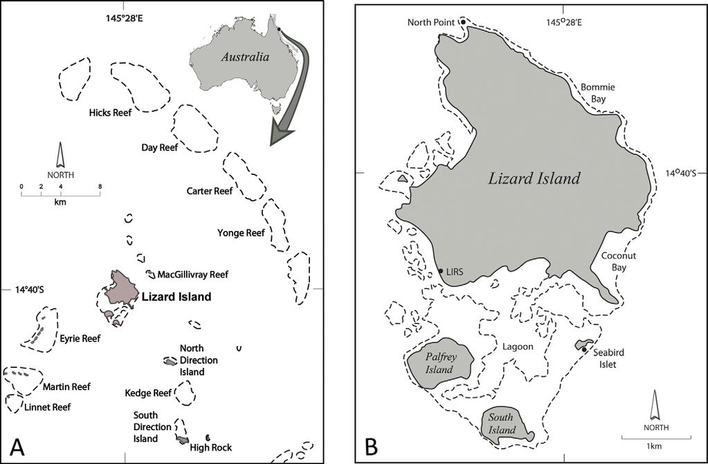 FIGURE 1. Location of collecting sites. A, Lizard Island and neighbouring reefs on the Great Barrier Reef, Queensland, Australia.
