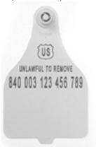 Website Official Eartags Official Eartags Imprinted with Official eartag