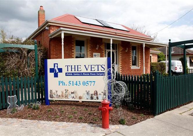 THE VETS Servicing Sale Victoria and the local community THE VETS - Sale, provides modern, professional and affordable health care for your pets.