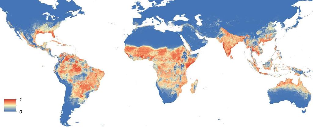 Global Distribution Map of Aedes Mosquito The color tells us how likely it is to be present at that location.