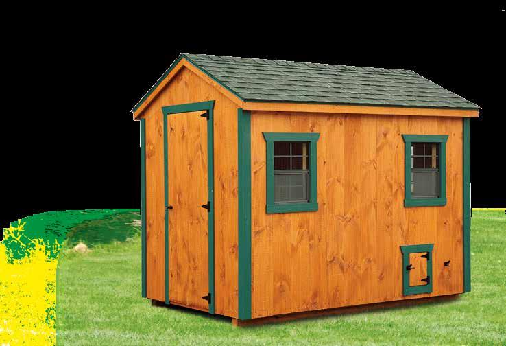 39 6x10 A-Frame With tongue and groove siding 101