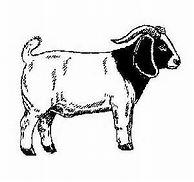 Swine/Meat Goat/Sheep/Beef May 27 & 28, 2017 Northeast Kansas Heritage Complex, Holton, KS 12200 214 th Rd (2 miles south of K-16/75 intersection on 75 hwy west side of hwy) Pre-Entries due May 19th