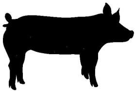m. Check in Swine 10:00 a.m. Swine Show Starts * A minimum of 3 head will be required for a breed class. If minimum is not met, will show in AOB. *** This show is a no fit show Blow and Show.