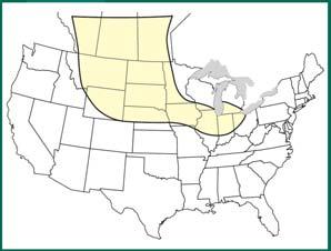 Approximate distribution of E. multilocularis in central North America AB SK MB (Kazacos 2003) Prevalence of E.