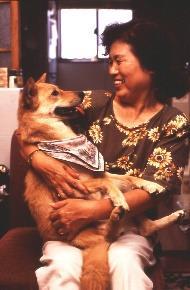 Basic theories and techniques used are based on Fun Training that was learnt from HDDP, additionally JHDDP adds its original training methods suitable for Japanese mix dogs, in order to utilize the