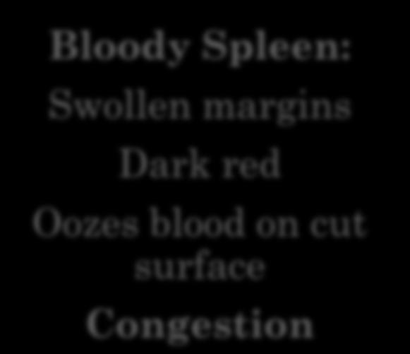 Diffuse Splenomegaly: Bloody vs