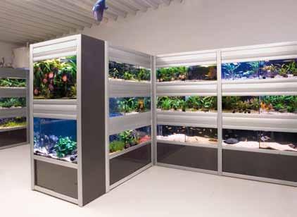 treatment products, gravel for aquariums and litter for cages, heating elements and UV tubes for terrariums,