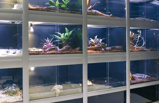 The bottom section of the terrariums is watertight, so they also can be used as aqua-terrariums.