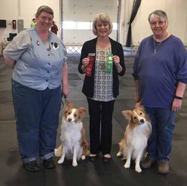 From April Bruce: From the Feb 2018 Denver Dog show, Pepsi - Winners and Best Of Winners for a 5 point major!