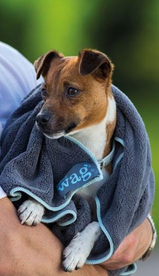 MICROFIBRE CLEANLINESS & HYGIENE 2 1. Microfibre Cleaning Towel Removing water and dirt from your pet s coat reduces the risk of infection and protects interior furnishings.
