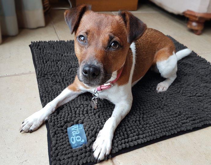 MICROFIBRE NOODLE PET MAT The advanced microfibre technology in these Noodle mats makes cleaning and drying your pet easier and contributes to a healthier happier pet.