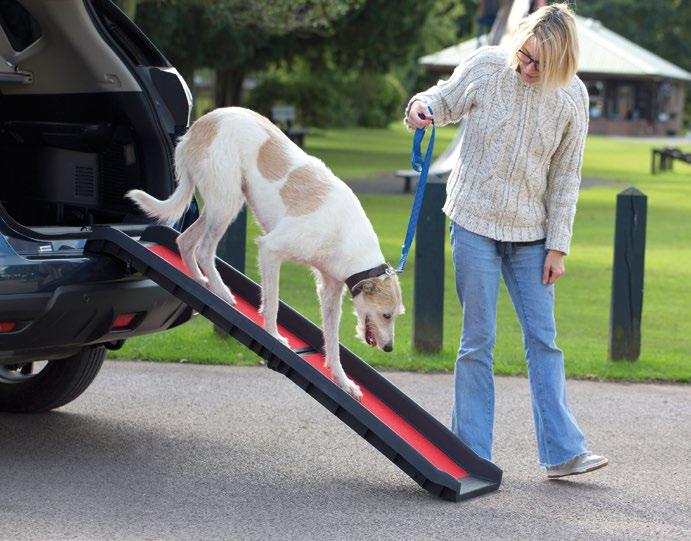 FOLDABLE DOG RAMP Senior dogs and pets with mobility issues love to be out and about with their family but it can be difficult to get them in and out of the car without causing pain or discomfort.